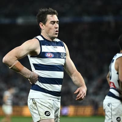 Cats coach confident Cameron will fight out of slump