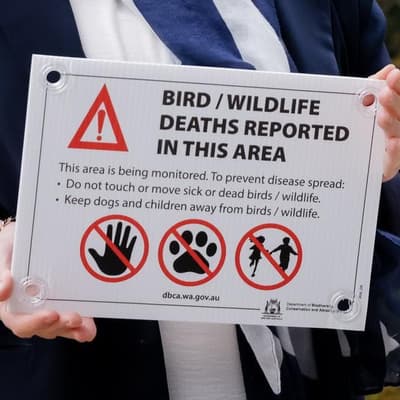 Wider spread fears as bird flu emerges in third state