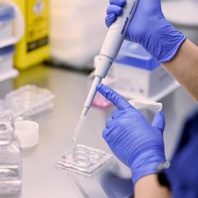 'Pure elation': Aussie IVF innovation sparks baby joy