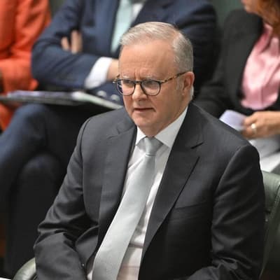 Albanese apologises for podcast remarks about Kylie
