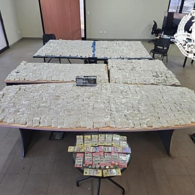 Massive kava haul seized by police after tip off