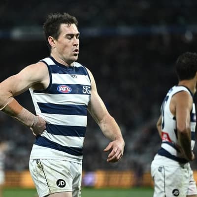 Giants bracing for response from battling Cats star