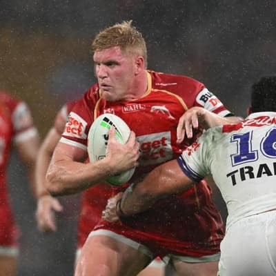 Two Maroons guns back up for Dolphins in Shark hunt
