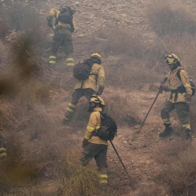 Fierce wildfires in Spain kill 11, leave 23 missing