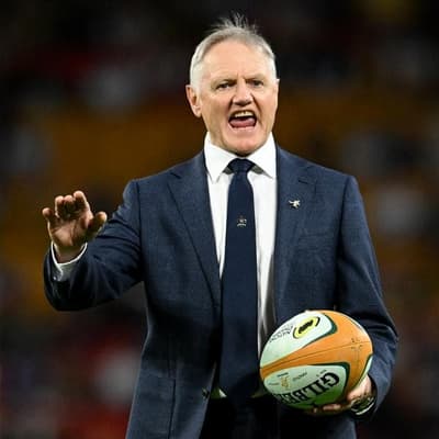 Trio called in as winless Wallabies farewell Schmidt
