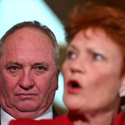'No resources': One Nation defends uncosted policies
