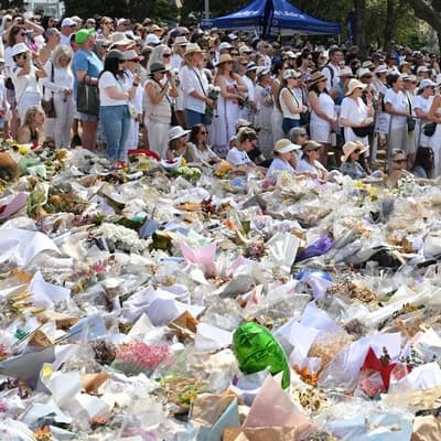 Victims advocate to hold government agencies to account