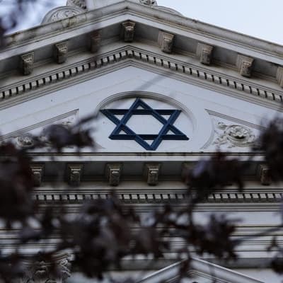 Translator 'lost work' after reporting anti-Semitism