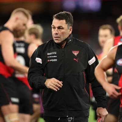 Hird momentum grows, Solomon 'consumed' by Bombers job