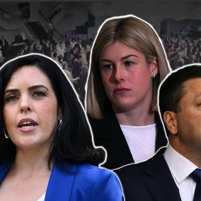 Liberal MP drops party court bid after 'headlock' saga