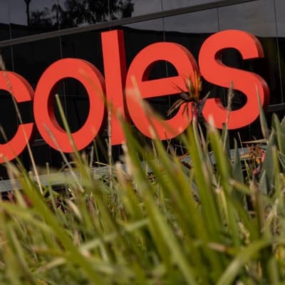 Supermarket giant fights watchdog on mining store block