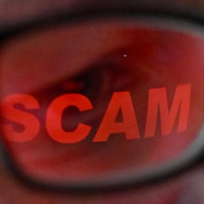 'It breaks your heart': scammers fake a real economist