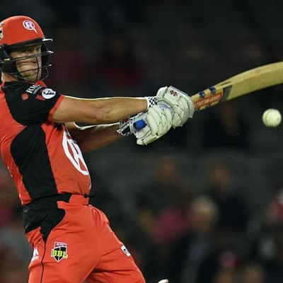 BBL outfits Stars, Renegades name new coaches