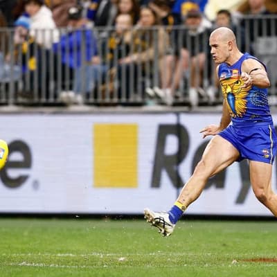 Feathers will fly: Lions brace for new Eagle Starcevich