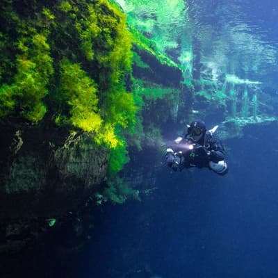 Bone fingerprints unlock hidden underwater stories