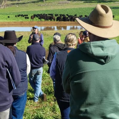 Aussie farmers and the new ballad of the virtual drover