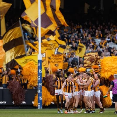 Hawks put hapless Tigers to the sword at MCG