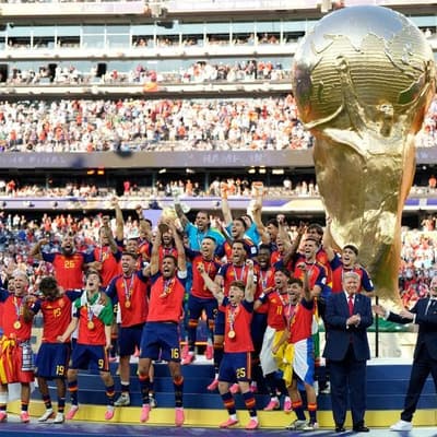Spain reign after sub's strike in World Cup final