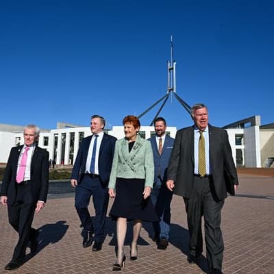 Hanson blasted for 'atrocious' family violence comment