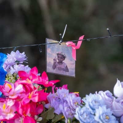 'Viscerally sick': child protection reforms under fire