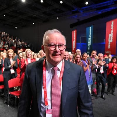 'That's not true': Labor's warning to tech bros on AI