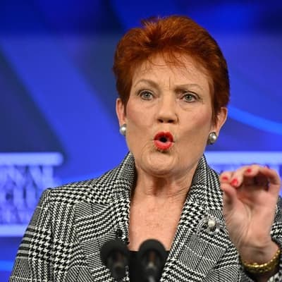 'Out of context': Pauline Hanson rejects downplaying DV