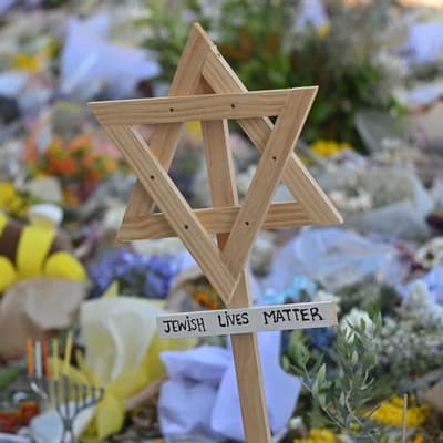 'Fundamentally wrong' man wore Nazi sign outside probe
