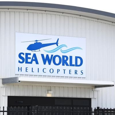 Sea World pilot 'likely mildly impaired' by cocaine