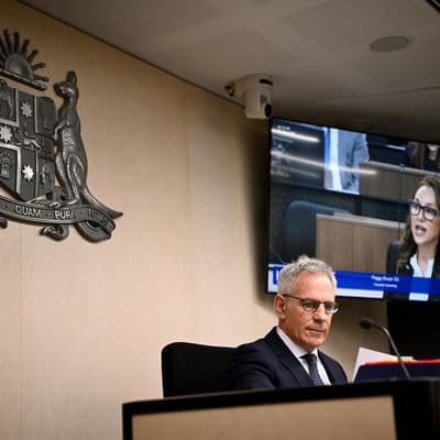 Ex-premier Dominic Perrottet went 'woke', inquiry told