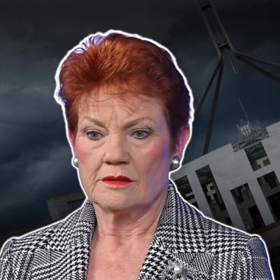 ‘Win for all’ as Hanson loses appeal over racist tweet