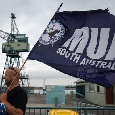 'Pro-Israel forces': union explains conference backdown