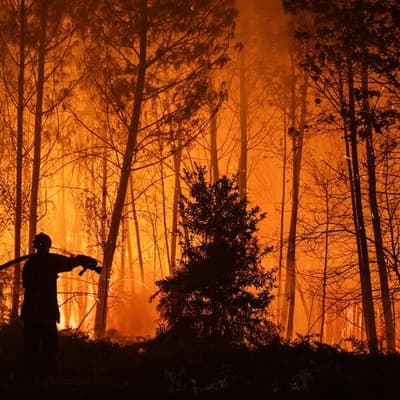 France, Spain struggle to contain massive wildfires