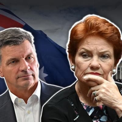 Top Liberal bats away proposal for One Nation coalition