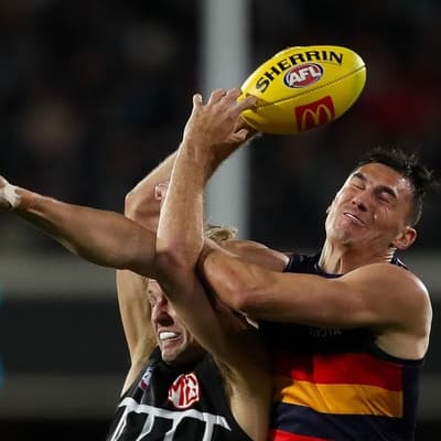 Crows play down 'soft' criticism after loss