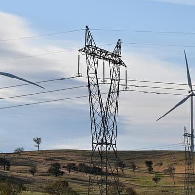 Half-price power: record renewables push prices down