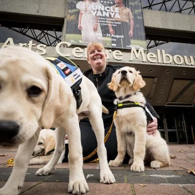 Seeing-eye dog puppies bone up on theatre etiquette