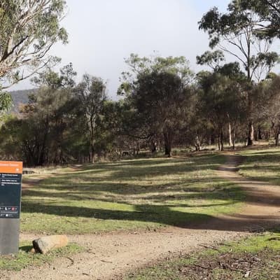 'Real action': historic step for Aboriginal land return