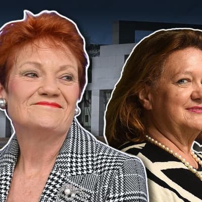 Gina Rinehart paid for Pauline Hanson's Europe flights