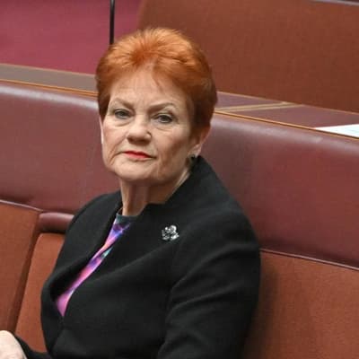 One Nation in hot water with Queensland watchdog