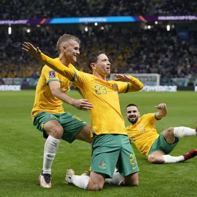 'Never been clear': Goodwin on lack of Socceroos vision