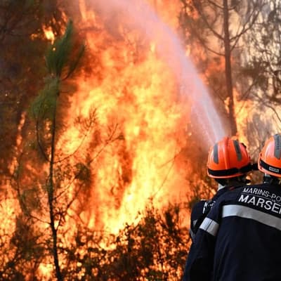 French wildfire evacuees allowed to return home