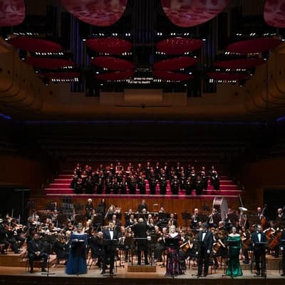 Federal arts body can't terminate artists over conduct