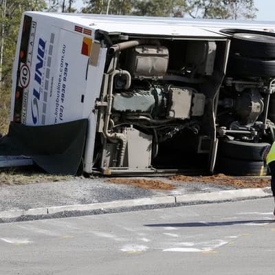 Belt up: seatbelt culture push after wedding bus crash