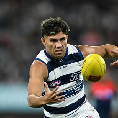 Cats part ways with premiership hero Stengle