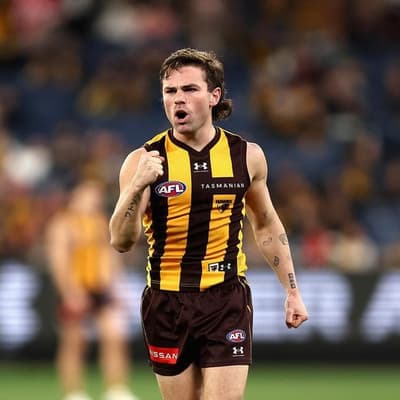 Watson boots five as high flying Hawks beat gritty Roos