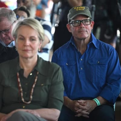 'Just a backbencher': minister defends charged MP role