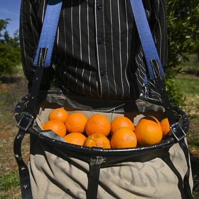 Survey supports a better deal for Pacific workers