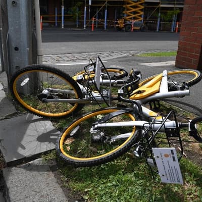 'Bike boy' bailed to rehab amid carjacking allegations