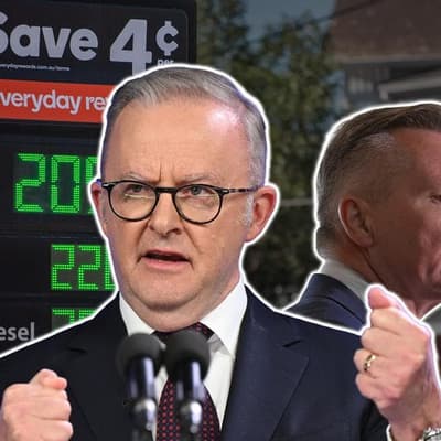 Labor backs 'strong' fuel supply as petrol prices bite
