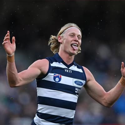 Cats shrug off concussion scandal with Bombers win